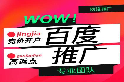 搜索引擎优化（SEO）与竞价广告（SEM）的对比案例